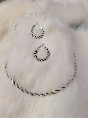 Silver-Tone Twisted Rope Hoop Earrings and Necklace Set